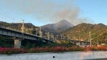 97免费视频国产,国产生态下的创新与突破