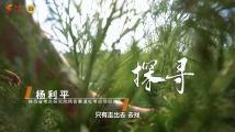 青草青青国产视频,国产视频中的青春记忆与成长轨迹