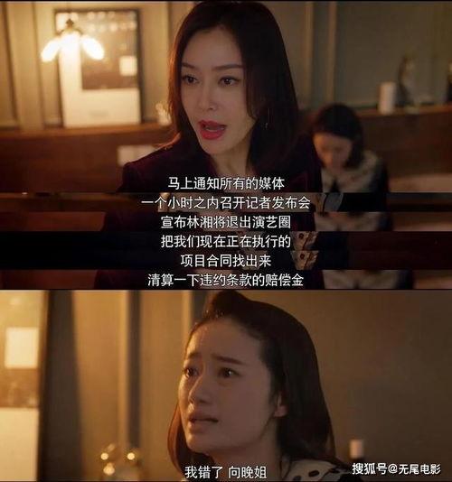 娱乐圈都在吃瓜视频