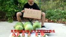 搞笑娱乐吃瓜视频,笑到肚子疼!